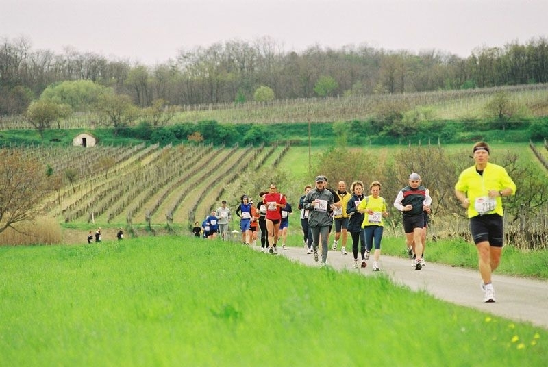 Mörbischer Laufsporttag (C) Veranstalter Mörbischer Laufsporttag (C) Veranstalter
