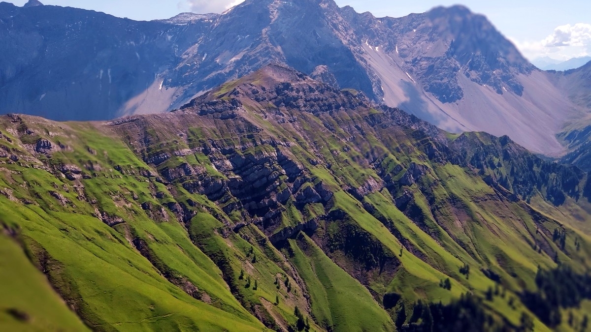 Blankuskopf Blankuskopf