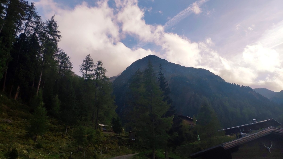 Narrenkopf Narrenkopf