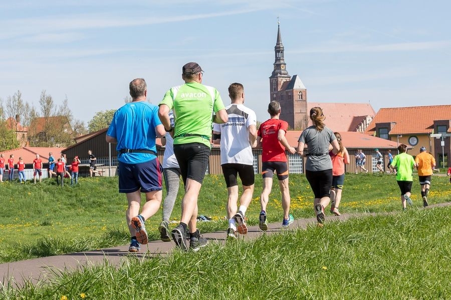 Tangermünder Elbdeich-Marathon (c) Veranstalter Tangermünder Elbdeich-Marathon (c) Veranstalter
