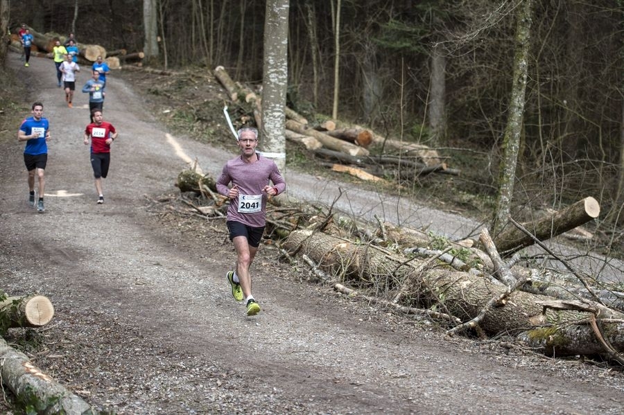 SMS-12606.jpg SMS-12606.jpg