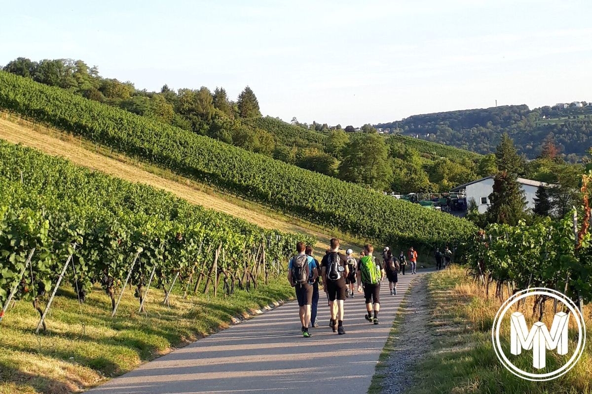 Megamarsch Stuttgart, Foto: Veranstalter Megamarsch Stuttgart, Foto: Veranstalter