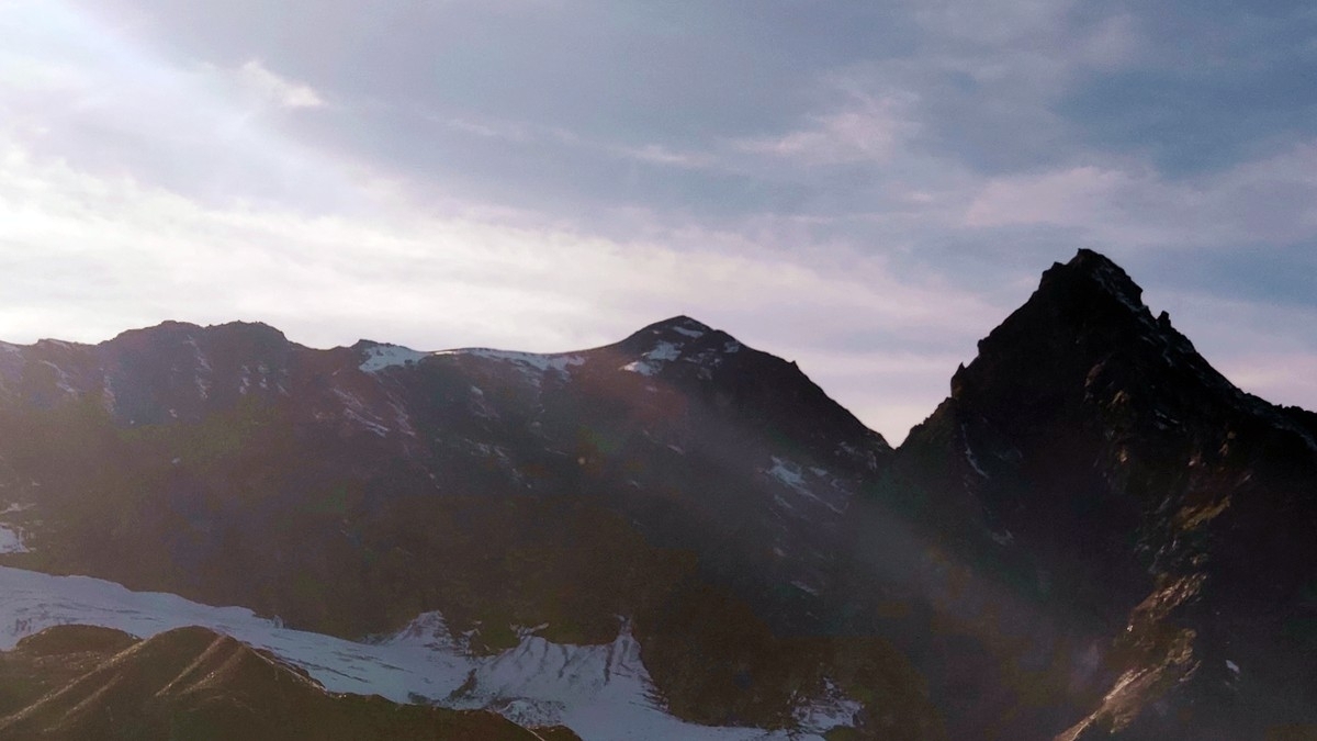 Schneeglocke Schneeglocke