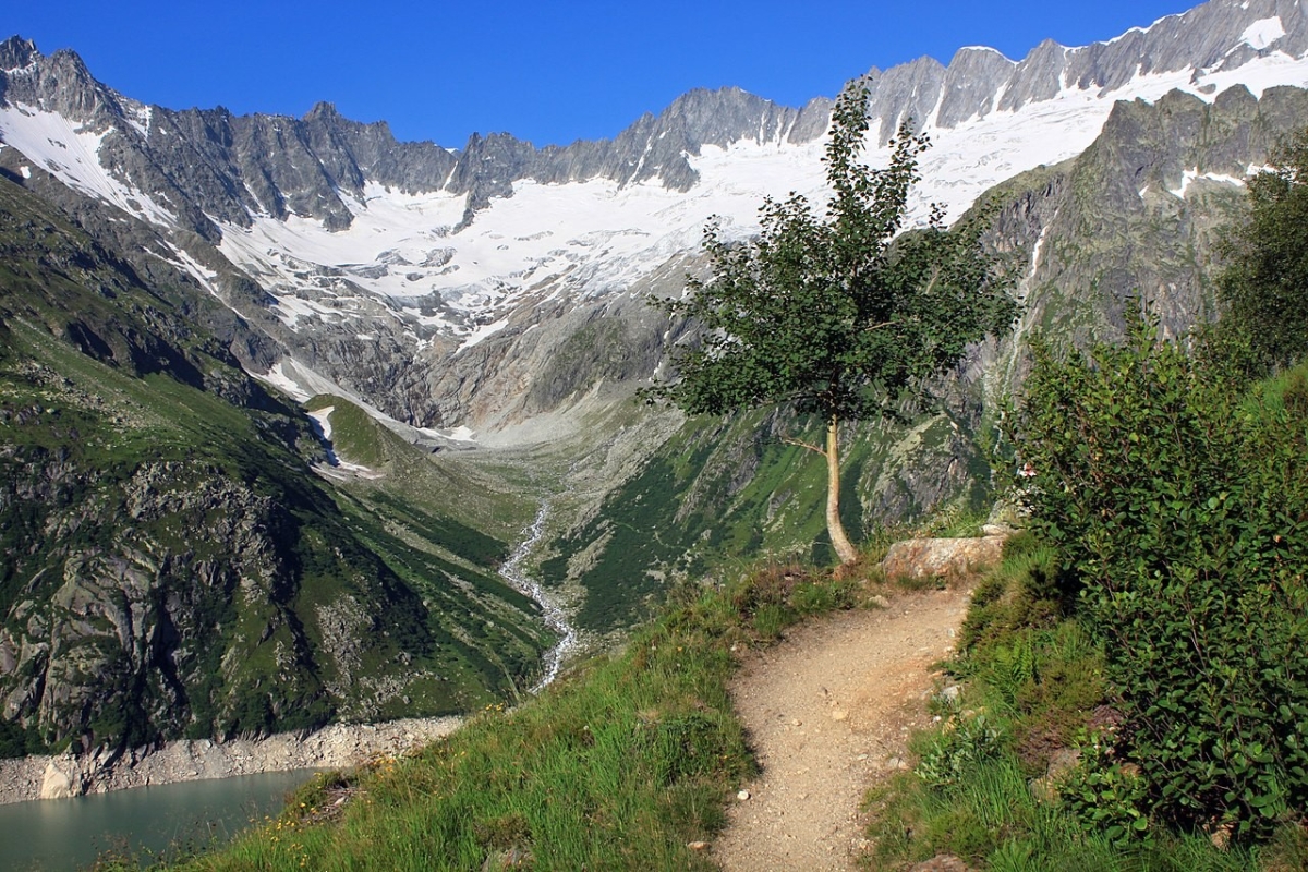 Dammastock, Foto: Uwelino, Lizenz: Creative Commons Attribution-Share Alike 4.0 International Dammastock, Foto: Uwelino, Lizenz: Creative Commons Attribution-Share Alike 4.0 International