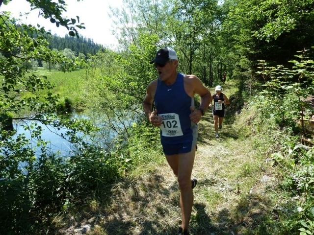 Geländelauf rund ums Gailbergmoor (C) Veranstalter Geländelauf rund ums Gailbergmoor (C) Veranstalter