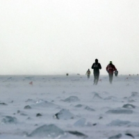 Baikal Ice Marathon (C) Organizer