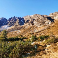 Großer Grießstein Rundtour 16: Der Pfad hier führt etwa halbrechts bergauf