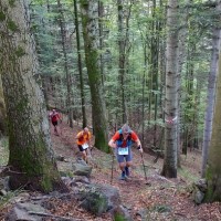 Black Forest Trailrun Masters (c) IRONMAN / Getty Images