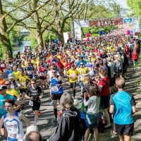 Heilbronner Trollinger Marathon