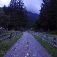 Bergtour-Hoher-Riffler-3: Nach wenigen Metern erreicht man einen Forstweg.