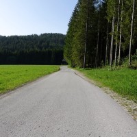 Admonter Kalbling - Sparafeld - Riffel - Kreuzkogel Rundtour (3): Die Strasse zur Sportalm