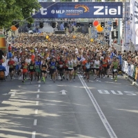 Ergebnisse SRH Dämmer Marathon Mannheim 2022