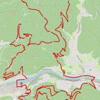 Strecke Long Distance Trail beim Trailmarathon Heidelberg