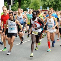 Der Remmers-Hasetal-Marathon
