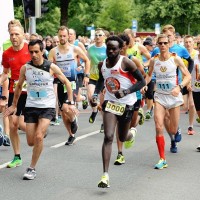 Der Remmers-Hasetal-Marathon 2018, Foto (c) VfL Löningen