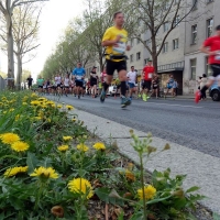 Vienna City Marathon 2018