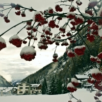 Monte Rosa - Valle d&#039;Aosta