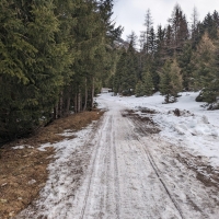 Skitour Hochreichkopf 01: Die ersten 5 km führen von Niederthai auf der Rodelbahn Richtung Schweinfurter Hütte.