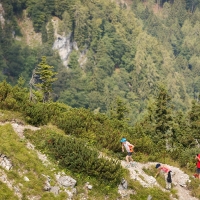 Ötscher Trail