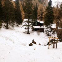 Gamsecksteig 20: Weiter durch den Wald vorbei an einer unbewirtschafteten Hütte