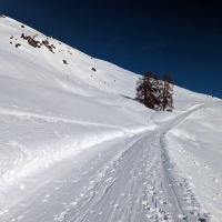 Venet Skitour 06: Einige 100 Meter entlang der Forststraße, danach links in den Hang.
