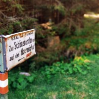 Rundtour Seckauer Alpen 08: Der direkte Anstieg zum Hochreichart würde noch ein Stück weiter dem Forstweg entlang führen