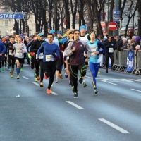 Wiener Silvesterlauf  Strecke