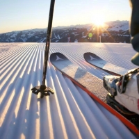 Skifahren im Skicircus Saalbach Hinterglemm Leogang Fieberbrunn © saalbach.com, Mirja Geh