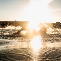 Schwimmen beim Austria Triathlon Podersdorf 2025