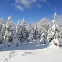 Erbeskopf im Winter, Foto Pixabay