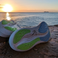 Laufschuh Asics Gel Nimbus 26