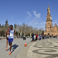 Maraton de Sevilla 2024. Foto: © Juan José Ubeda