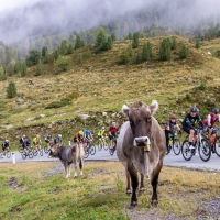 227 Kilometer, 5.500 Höhenmeter und vier Alpenpässe sind beim Kultrennen zu bezwingen. Foto: Ötztal Tourismus / EXPA_GRO