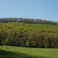 Die höchsten Berge in Wien