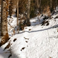 Dürrenstein Rundtour 05: Bei Schnee lässt sich der Weg anfangs noch gut erahnen