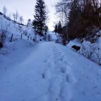 Dürrenstein 04: Die ersten 2-3 km sind aber auf festem Schnee noch sehr gemütlich