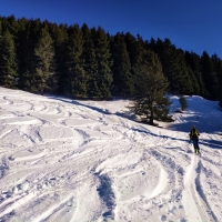 Lanner Kreuz Skitour, Foto 03: Aufstieg durch den Wald