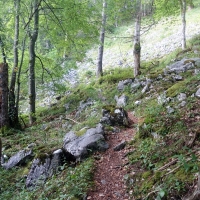 Bergtour-Hexentrum-Bild-8: Teilweise gibt es auch Abschnitte mit nassem und rutschigen Felsen