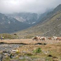 Gletscher Trailrun, Foto Ötztal Tourismus