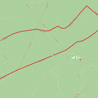 Tharandter-Wald-Lauf 2,5 km Runde für 10 km und 5 km