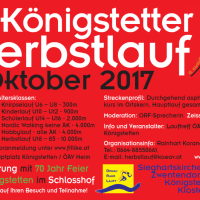 Königstetter Herbstlauf 2017