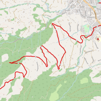 Strecke Gamperney-Berglauf