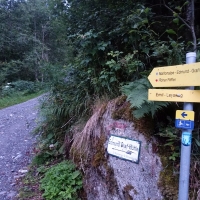 Bergtour-Hoher-Riffler-7: Nun geht es für lange Zeit auf einen Forstweg