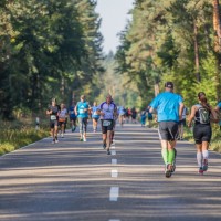 Halbmarathons und Marathons Rheinland-Pfalz - Termine