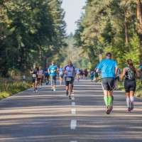 Ergebnisse Bienwald-Marathon Kandel