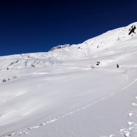 Skitour Niederjöchl 02: Hier folgt nun eine lange Querung nach links. Rechts könnte man auf die Pezinerspitze aufsteigen.