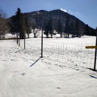 Hochstaff-Reisalpe Rundtour 11: Es geht links vom Zaun weiter