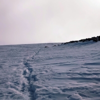 Weißseespitze 44: Kurz vor dem Gipfel am Gletscherrand einfach bis zur Weißseespitze.