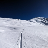 Fundusfeiler-Skitour 02: Danach noch länger der Forststraße Richtung Südosten folgen, bis sich das Gelände Richtung Osten öffnet.