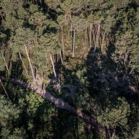 Südtirol Ultra Skyrace